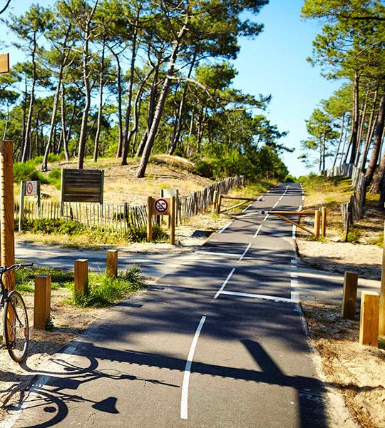 Moliets Plage - Location de vacances - Appartement - Pistes cyclables -Vélodyssée