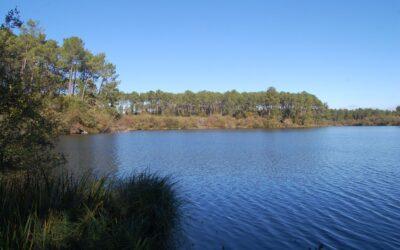 Moliets-et-Maâ – Circuit du ruisseau de la Prade et du Swing