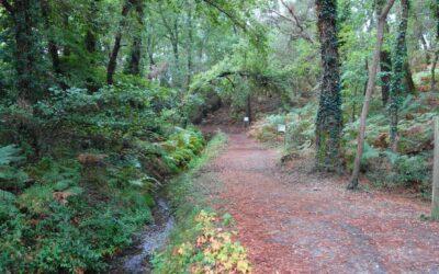 Tour de l’étang de Moliets ( Landes 40 )