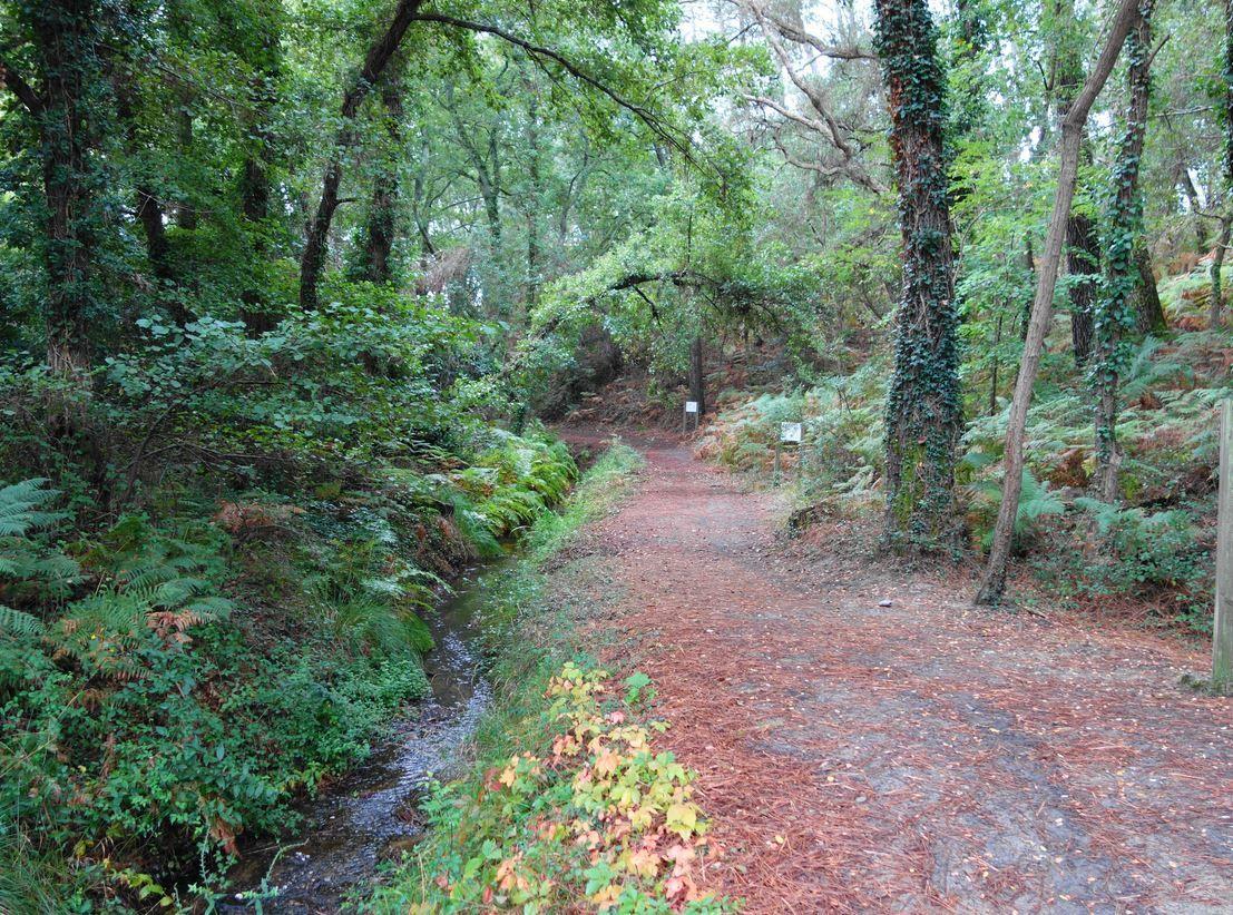 Tour de l'étang de Moliets ( Landes 40 )