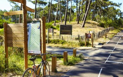 À vélo depuis Moliets-et-Maa : les plus beaux parcours et pistes cyclables des Landes