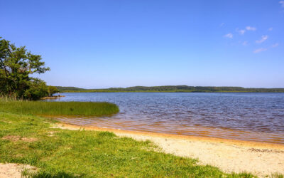 Découvrir Léon et son lac : nature, balades et détente à deux pas de Moliets