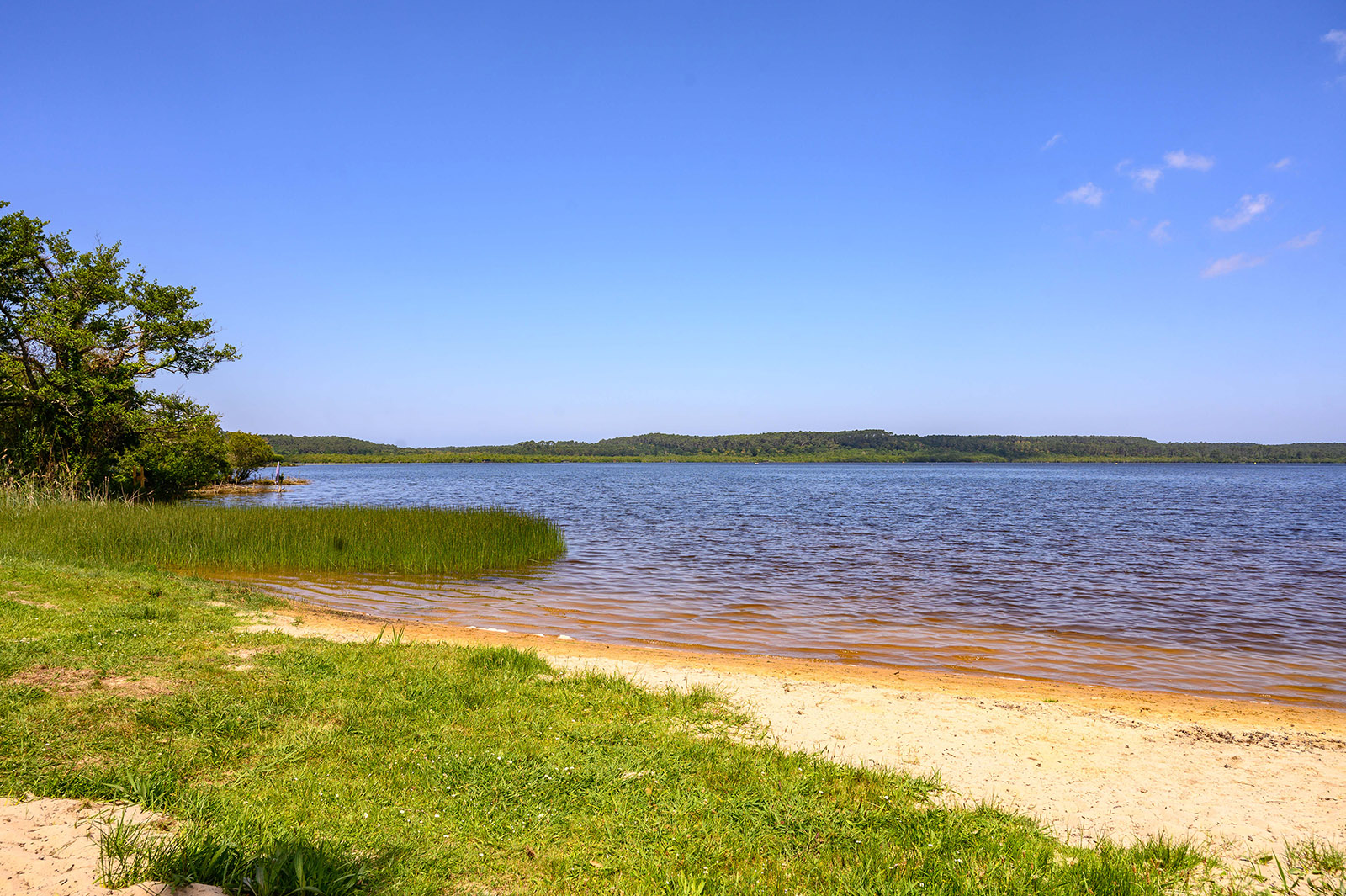 Le Lac de Léon est la parfaite escapade nature pendant vos vacances à Moliets. Entre baignade, balades, découvertes locales et farniente, il incarne toute la richesse du Sud des Landes.